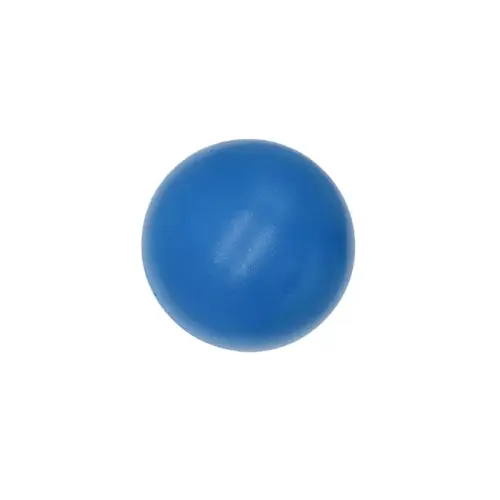 Toyzone World Blue Mini Exercise Yoga Ball